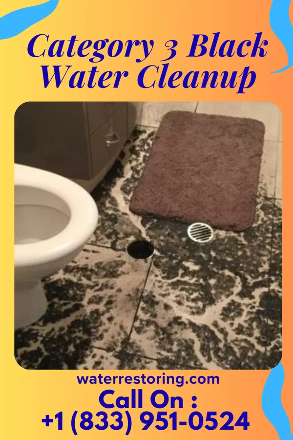 Category 3 Black Water Cleanup in Govan, SC