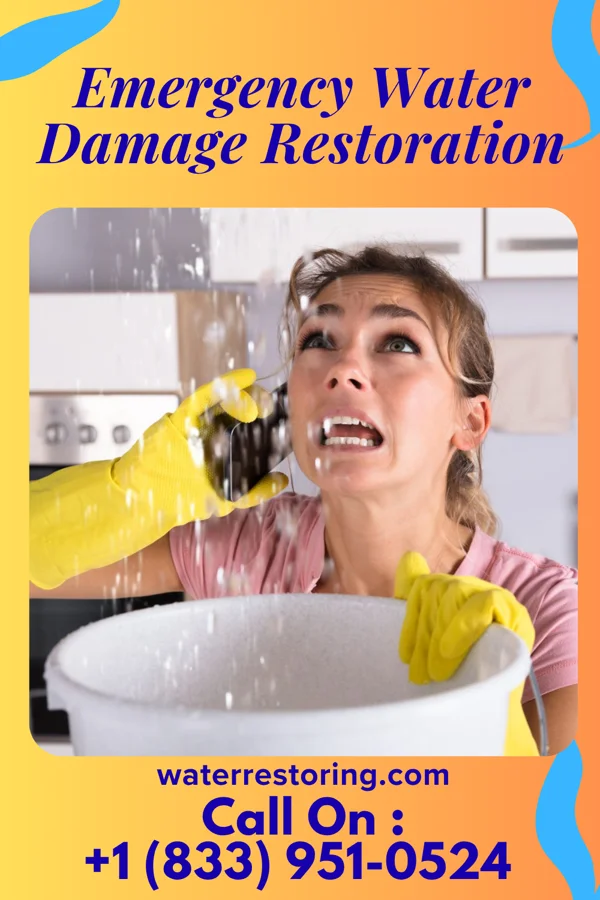 Emergency Water Damage Restoration in Govan, SC