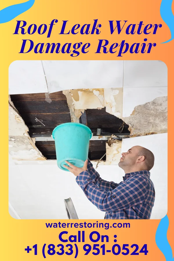 Roof Leak Water Damage Repair in Govan, SC